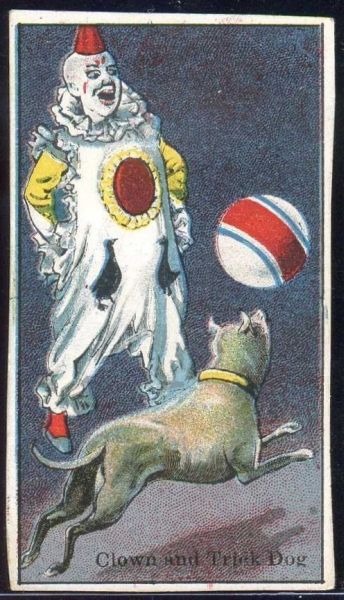 Clown and Trick Dog